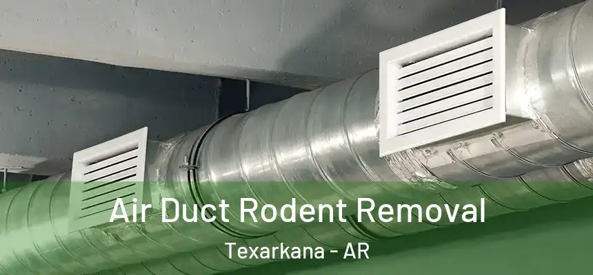 Air Duct Rodent Removal Texarkana - AR