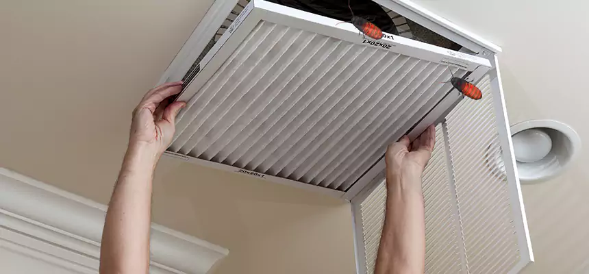 Preventive Cockroach-Proofing for Ducts in Texarkana