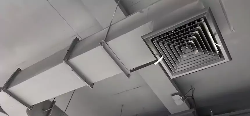 Restorative Allergy Relief Vent Cleaning – Coil, Blower & Housing Detail in Texarkana