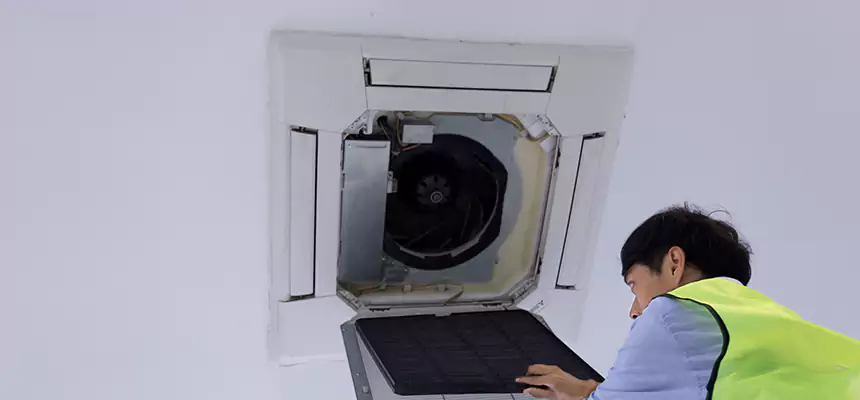 Our Dryer Vent Sanitization Service Services in Texarkana, AR