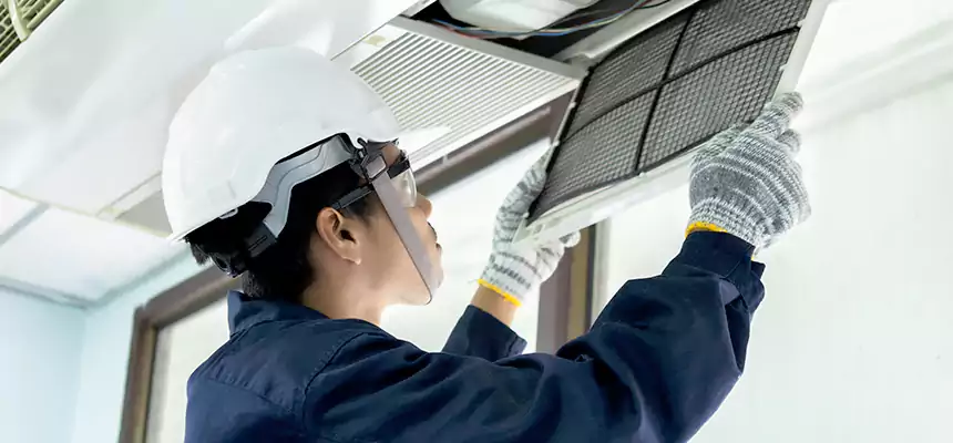 Our Mold & Mildew Removal from Air Ducts Services in Texarkana, AR