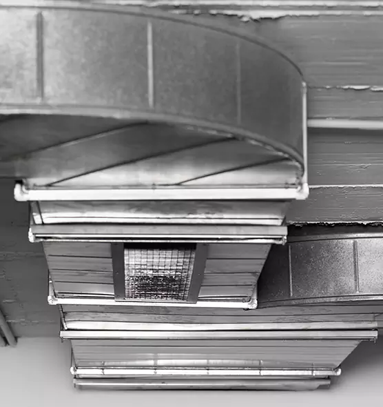 Professional Air Duct Pet Hair Removal in Texarkana, AR