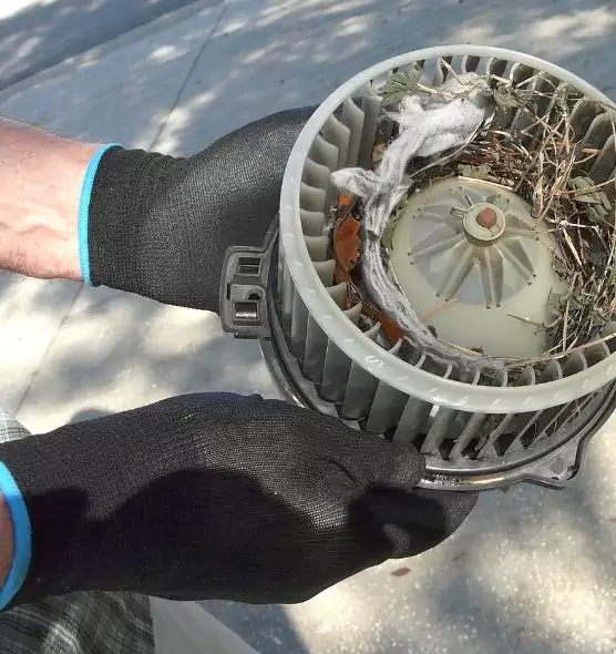 About Air Duct Rat Removal in Texarkana, AR