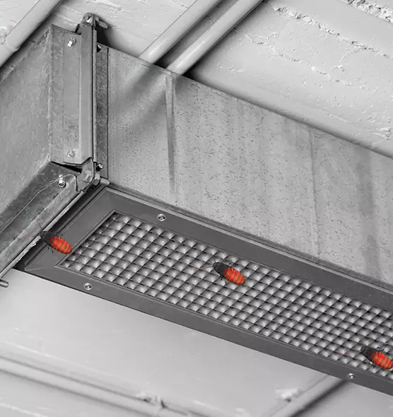 Affordable Insect Removal from Air Ducts in Texarkana, AR