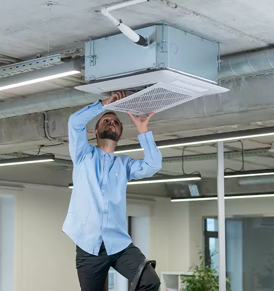 Advanced Rodent Droppings In Vents in Texarkana, AR