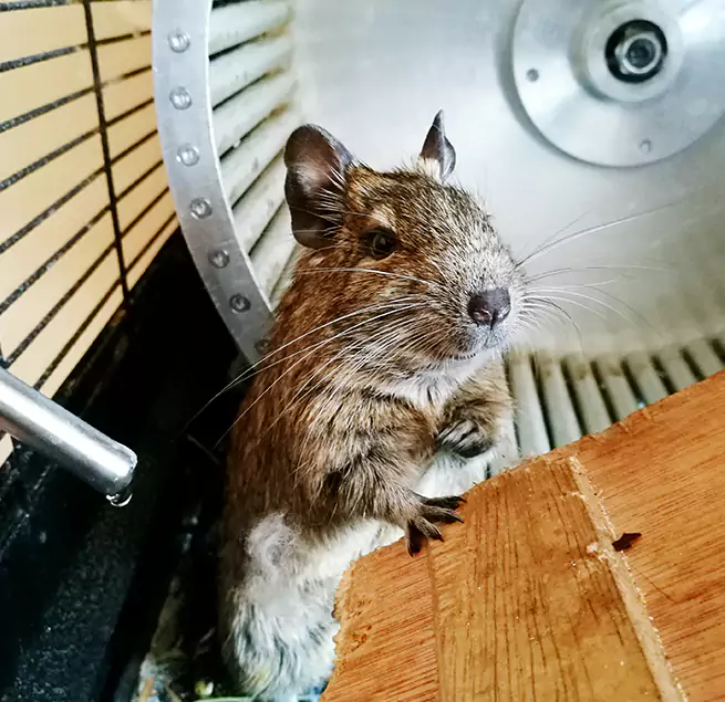 Why Homeowners & Businesses Trust Us Texarkana, AR