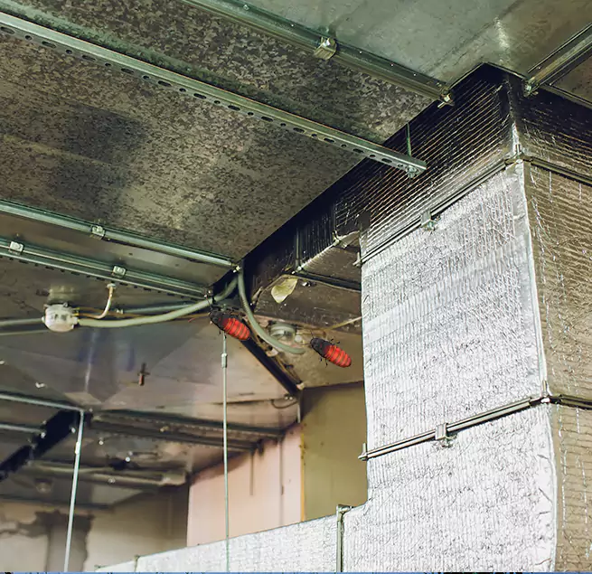 Why Homeowners & Businesses Trust Us Texarkana, AR?